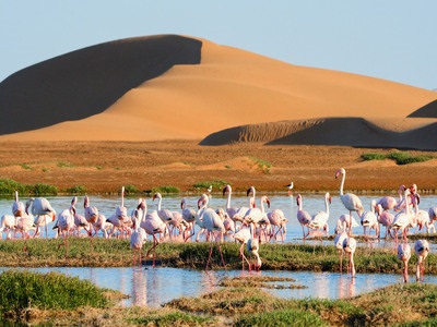Afrika